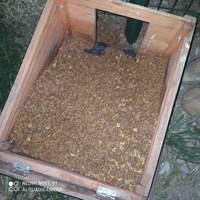photo de livraison pour Protect Cat