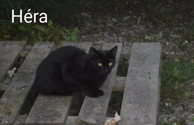 photo association