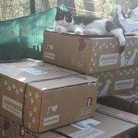 photo de livraison pour Les Pattounes de l'Espoir