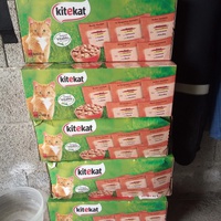 photo de livraison pour Les chats Port-Saint-Louisiens