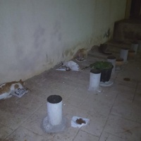 photo de livraison pour Hajar Aourz
