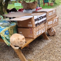 photo de livraison pour Ecole du Chat d’Arbois