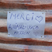photo de livraison pour Elena Camelia Teofil