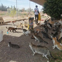 photo de livraison pour L'Arche de Noé