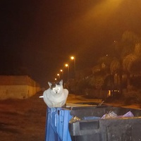 photo de livraison pour Kawthar Maree