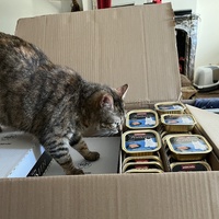 photo de livraison pour Association C.A.T.S. Chat Animal Terrien Solidarité