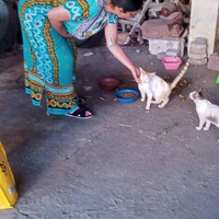 photo de livraison pour Hajar Aourz