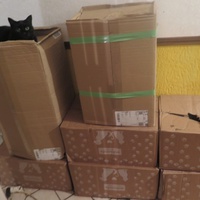 photo de livraison pour Chat Libre de l'Ile du Ramier
