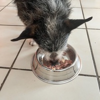 photo de livraison pour Refuge du Poil à la Plume