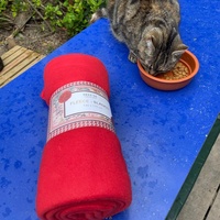 photo de livraison pour Les Chats Perchés de Mirmande