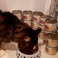 photo de livraison pour La maisonnée de Gloria