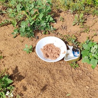 photo de livraison pour Cœur Animal