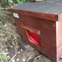 photo de livraison pour Les Chats-Pitresdelavi-Ste