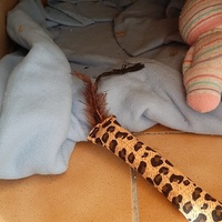 photo de livraison pour Bien vivre avec les Chats Sallélois