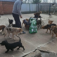 photo de livraison pour ПРИХВАТИЛИШТЕ ДРАЖЕВАЦ