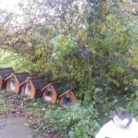 photo de livraison pour Chaperlipopette 77