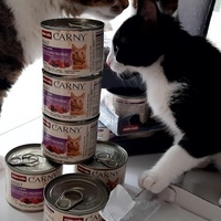 photo de livraison pour La maisonnée de Gloria