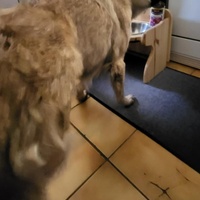 photo de livraison pour AVRAH