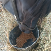 photo de livraison pour Equi-Libre : Droit à la Retraite Equine