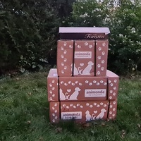 photo de livraison pour Arche de Véra