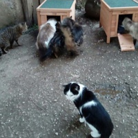 photo de livraison pour Refuge du Poil à la Plume