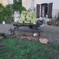 photo de livraison pour Ecole du Chat d’Arbois