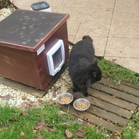 photo de livraison pour Aidons nos Molosses