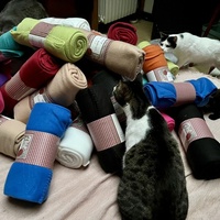 photo de livraison pour Association C.A.T.S. Chat Animal Terrien Solidarité