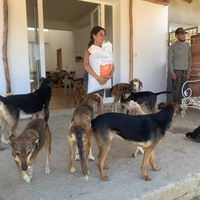 photo de livraison pour Sanctuaire de la Faune de Tanger (SFT)