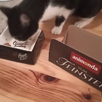 photo de livraison pour Catmondou