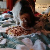 photo de livraison pour CAPPA