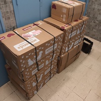 photo de livraison pour L'école du Chat d'Ollioules