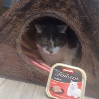 photo de livraison pour CAPPA