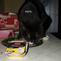 photo de livraison pour Protection Animale Berroise