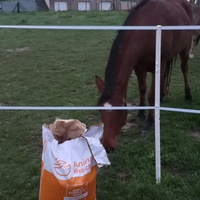 photo de livraison pour Assocheval