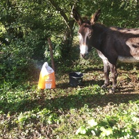 photo de livraison pour Le Bonheur des Sabots