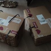 photo de livraison pour SOS Chats Libres Haut-Béarn