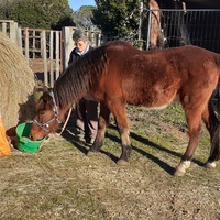 photo de livraison pour Association hippique du Caroux