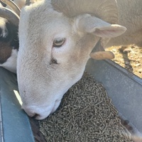 photo de livraison pour Refuge du Poil à la Plume