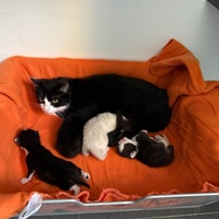 photo de livraison pour L'Arche de Ploum