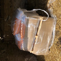 photo de livraison pour Les Chevaux d'Elo