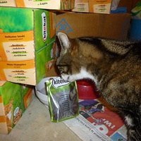 photo de livraison pour Ecole du Chat de la Vallée d'Auge