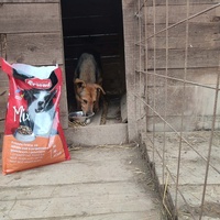 photo de livraison pour Samira Gagula