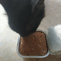 photo de livraison pour Les Pattounes de l'Espoir