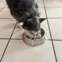 photo de livraison pour Refuge du Poil à la Plume