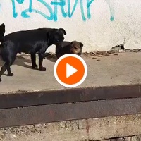 photo de livraison pour Spaske