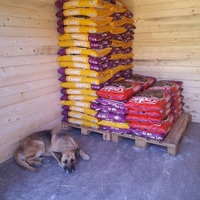 photo de livraison pour Antonia Save Animals