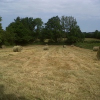 photo de livraison pour Handichats 36