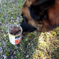 photo de livraison pour Boules d'amour