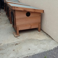photo de livraison pour Chats cerbériens